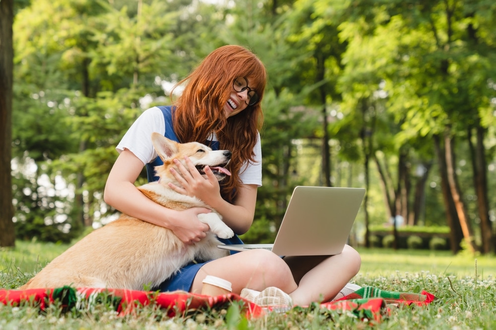 Voordelen Online Puppycursus